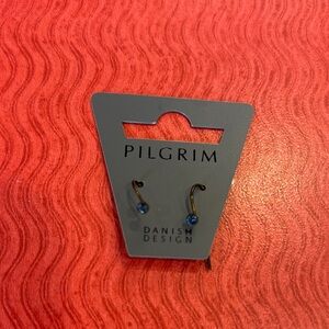 (#113) Pilgrim Blue Crystal Drop Earrings